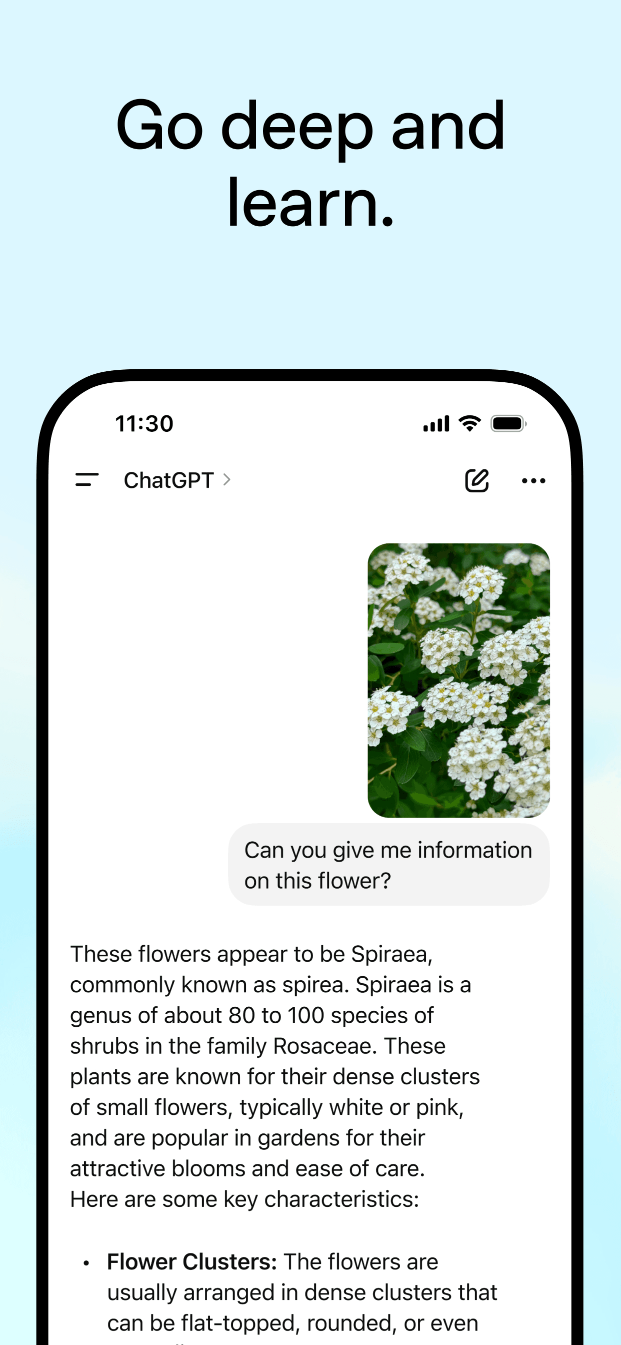 ChatGPT screenshot 4